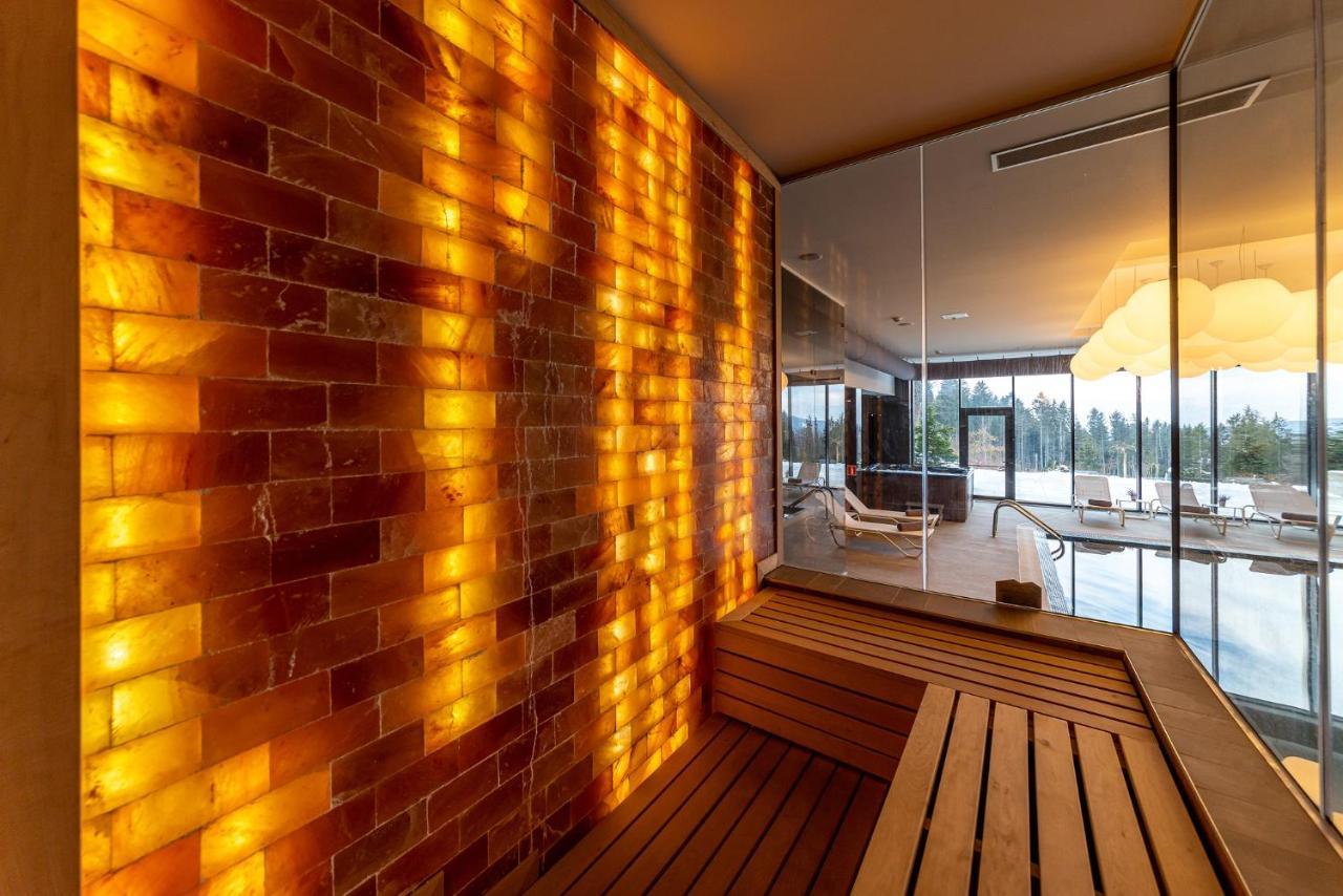 Complex Hotelier Cota O Mie Сіная Екстер'єр фото